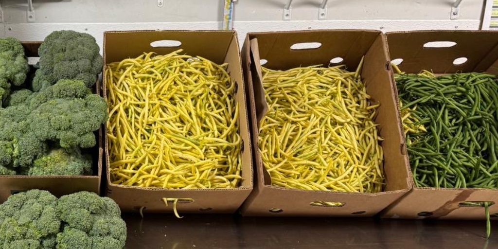 Thank you, Jason and Newhaven, for your amazing veggie donation! 🥕💚
Your generous gift makes a difference in our kitchen—and in the lives of those we serve.
lighthousemission.ca
#LighthouseMission #LoveAllServeAll #EveryoneMatters  #ThankYou #FreshFoodFreshHope