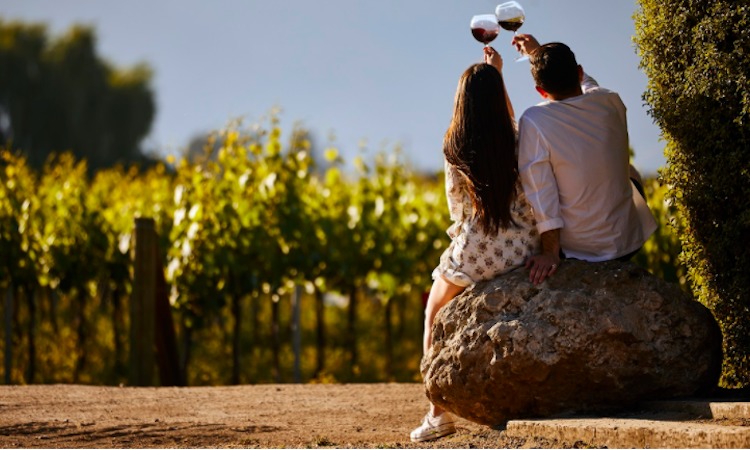 📈 ¡El enoturismo en Chile creció un 133% en 10 años! 🍷 Conoce cómo pasamos de 94 a 219 viñas abiertas al público en revistagentes.cl/en-10-anos-el-… #ApturChile #TurismoChile 🛫🇨🇱 #VinoChile <a href="/Revista_Gentes/">Revista Gentes</a> <a href="/apuntesyviajes/">Apuntes y Viajes</a>