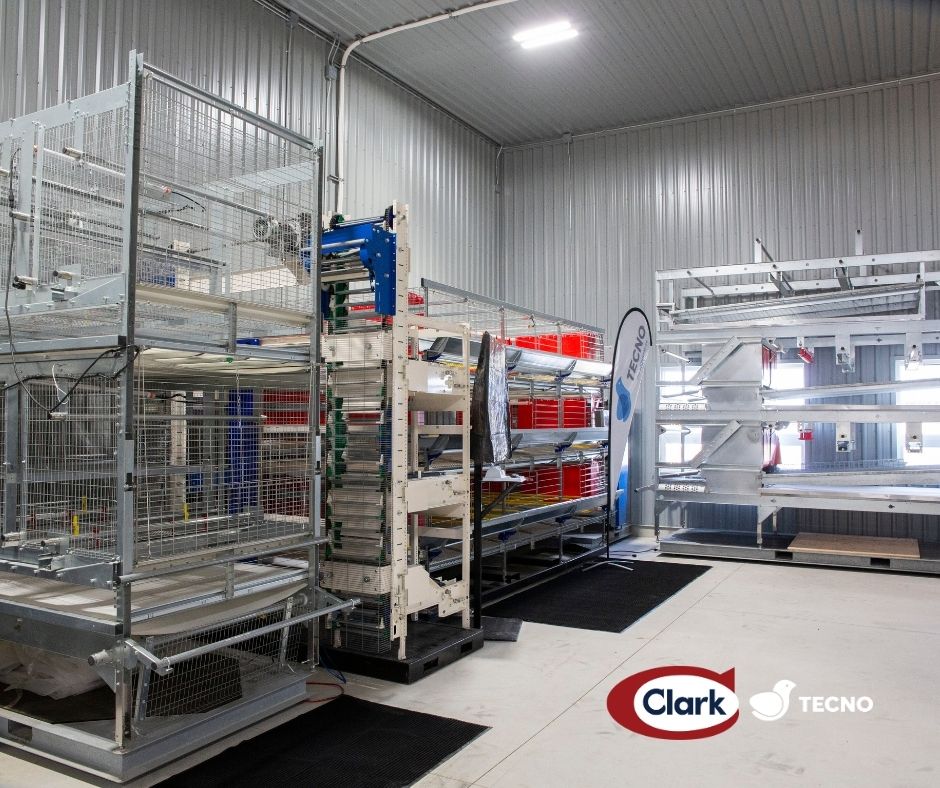 Clark Ag Systems (@clarkagsystems) on Twitter photo 📍 Palmerston showroom now open!
Come see our full lineup of Tecno systems—from enriched housing to aviary—live and in person. Upgrading your barn is a big deal. Let us show you why Tecno is the smart choice.
#ClarkAgSystems #TecnoSystems #PoultryEquipment #BarnUpgrade 📍 Palmerston showroom now open!
Come see our full lineup of Tecno systems—from enriched housing to aviary—live and in person. Upgrading your barn is a big deal. Let us show you why Tecno is the smart choice.
#ClarkAgSystems #TecnoSystems #PoultryEquipment #BarnUpgrade