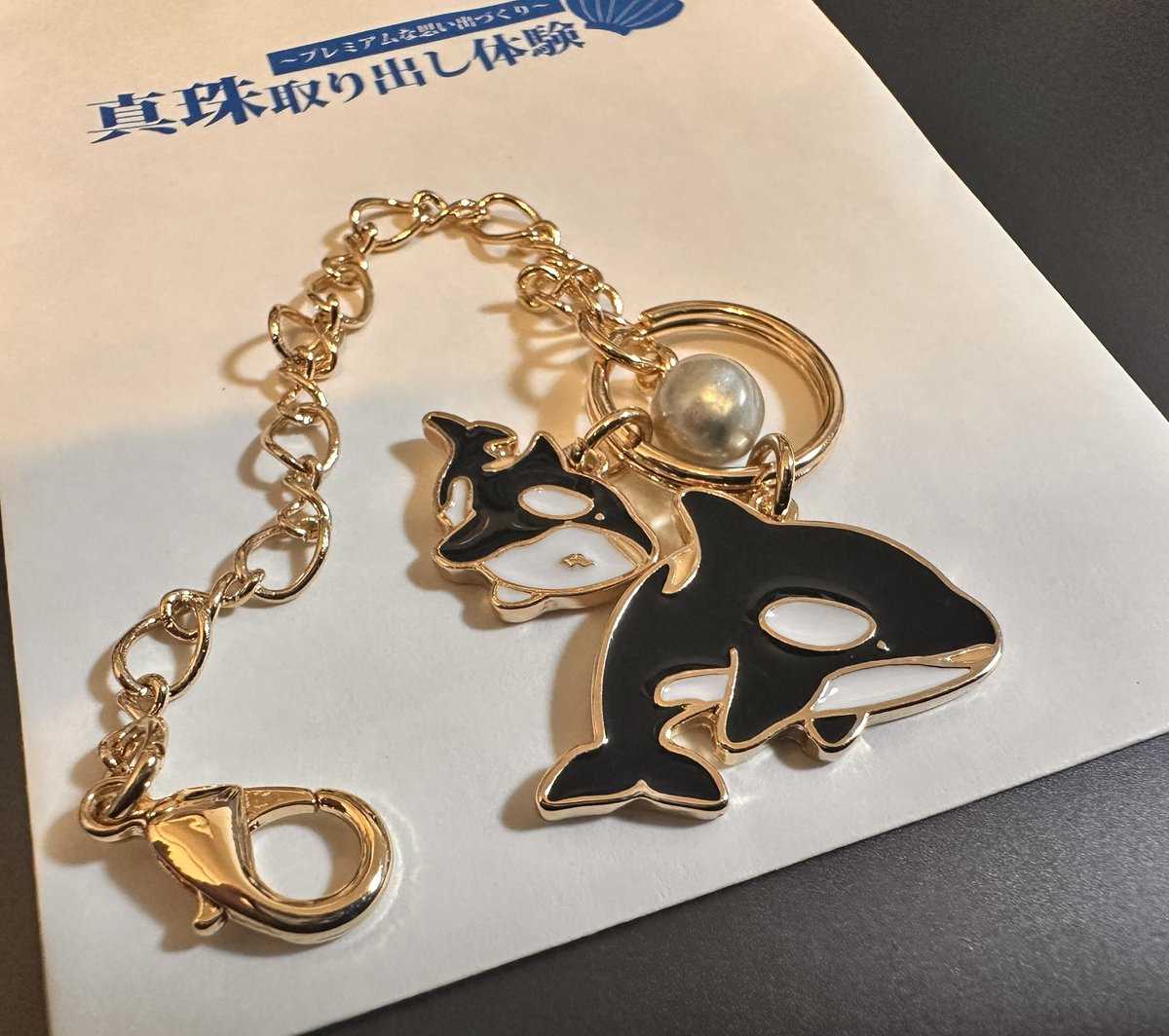 急遽行ってきましました。何気に初めての真珠取り。