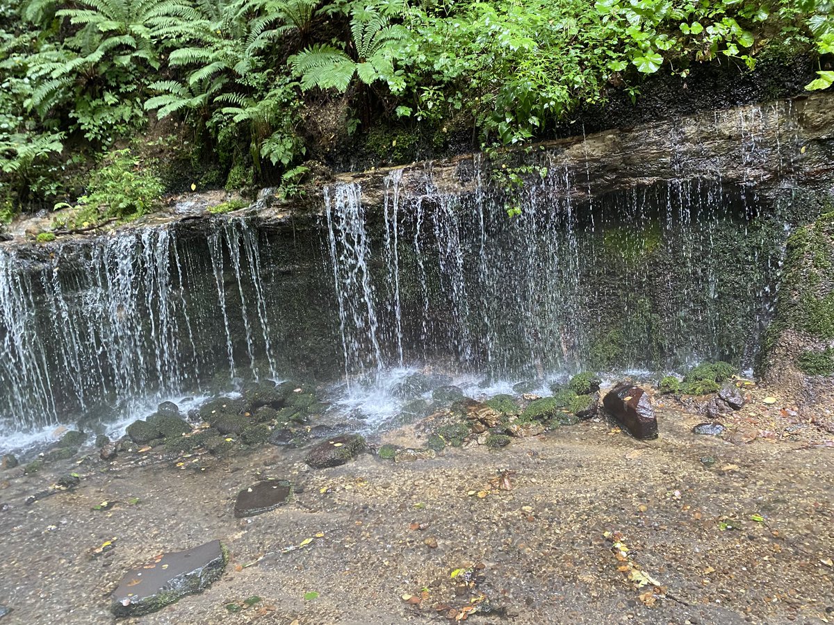 BDFEnichimishi's tweet photo. 2人で長野旅行に行って来ました！
自然とグルメを満喫できて、いいリフレッシュになりました(*´ω`*) https://t.co/jWiQV4zWvA