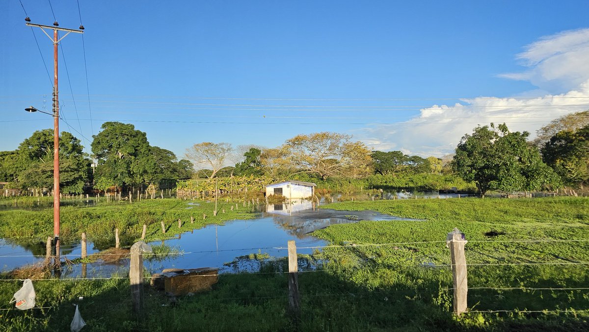 ktqmene's tweet photo. Este es el verdadero paisaje llanero en este momento #Apure y sur de #Guárico esta bajo las aguas cientos de familias perdieron todo
#SOSAPURE #SOSGUÁRICO https://t.co/I4XdrbQMGn