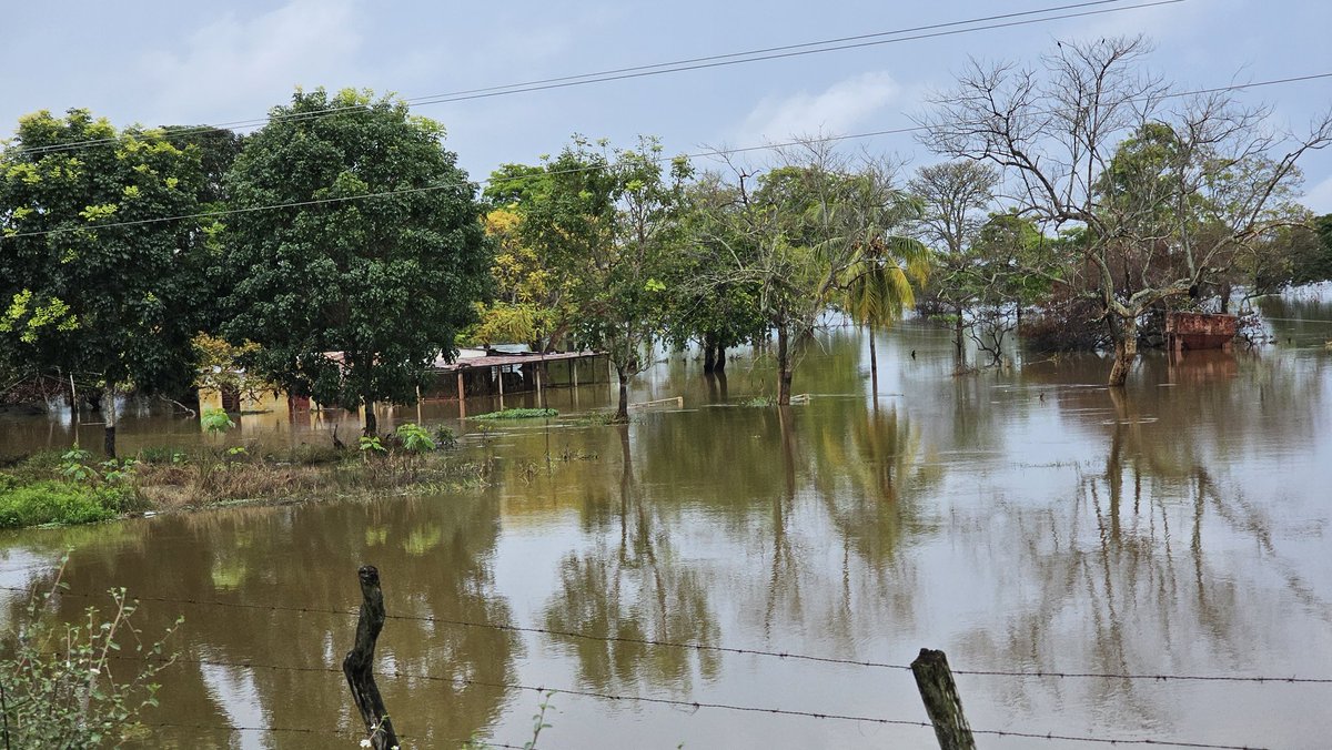 ktqmene's tweet photo. Este es el verdadero paisaje llanero en este momento #Apure y sur de #Guárico esta bajo las aguas cientos de familias perdieron todo
#SOSAPURE #SOSGUÁRICO https://t.co/I4XdrbQMGn