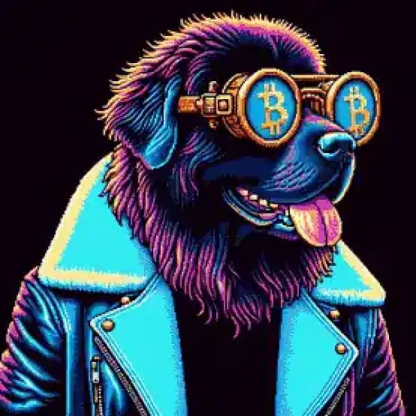 BitShades Dogs :: Celebrating Man's Best Friend tweet media