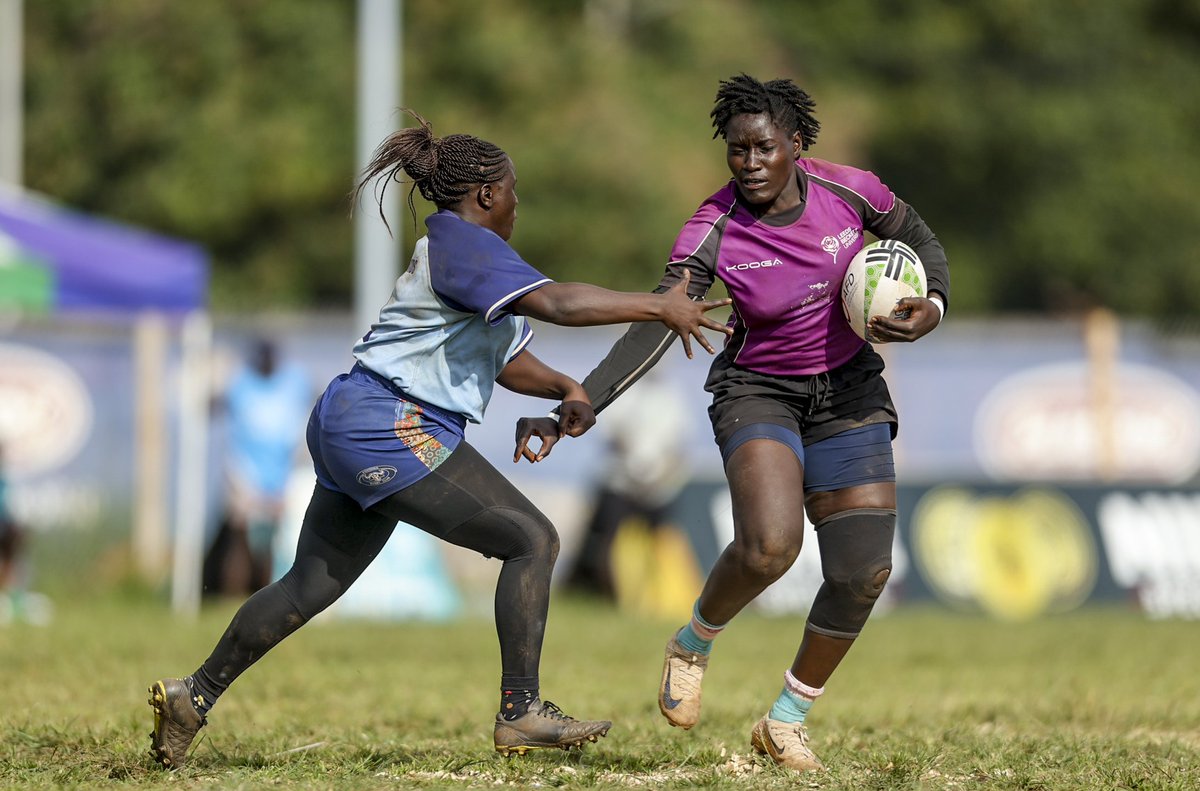 Fat Cats Podcast 🏉🎙️ tweet media