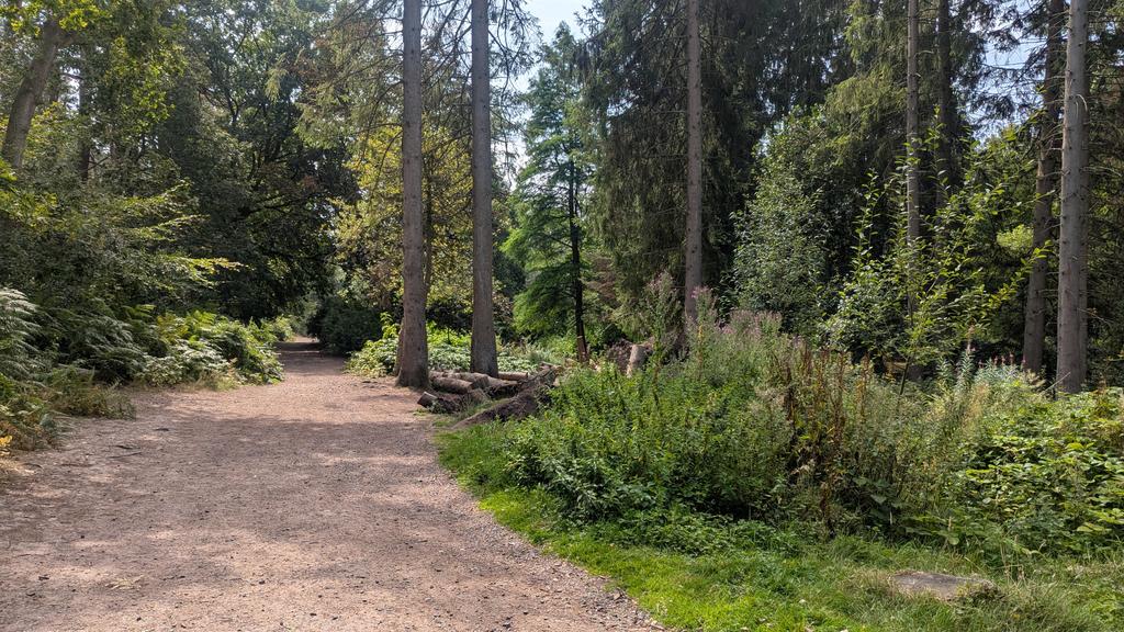 out_of_exp's tweet photo. Decided to take myself on a walk https://t.co/9lqcp4McWU