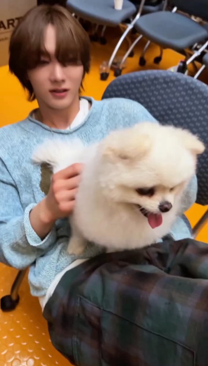 meodeola's tweet photo. 강아지안는법몰라서 걍 배위에올려둔거
왤케웃기디ㅠ 짱이 얌저니 https://t.co/SDyz1nnBEI