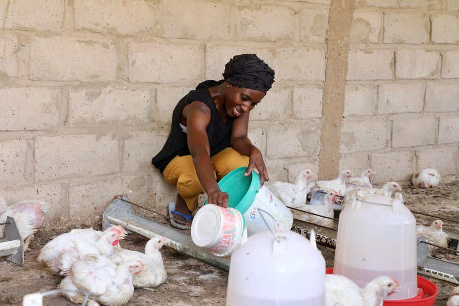 WFP Media (@wfp_media) on Twitter photo 📌Impact Story - Young people like Aida and Pinto In Mozambique, are turning poultry profits into university tuition, and with support from <a href="/WFP/">World Food Programme</a> and <a href="/MastercardFdn/">Mastercard Foundation</a>, they dream of scaling to 30,000 chickens.
Here's their story➡️bit.ly/4mAh8dp
#Mozambique #PoultryFarming 📌Impact Story - Young people like Aida and Pinto In Mozambique, are turning poultry profits into university tuition, and with support from <a href="/WFP/">World Food Programme</a> and <a href="/MastercardFdn/">Mastercard Foundation</a>, they dream of scaling to 30,000 chickens.
Here's their story➡️bit.ly/4mAh8dp
#Mozambique #PoultryFarming