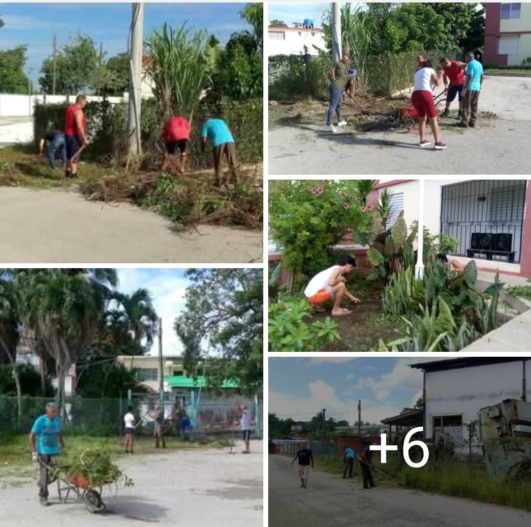 ✍️<a href="/Julia_Durruthy/">Julia Ileana Durruthy Molina</a>: En saludo al natalicio de nuestro invicto Comandante en Jefe la zona número 18 del capitalino municipio del Cerro realizó trabajo voluntario cederista porque #FidelViveEntreNosotros #CDRCuba #65AñosCDR