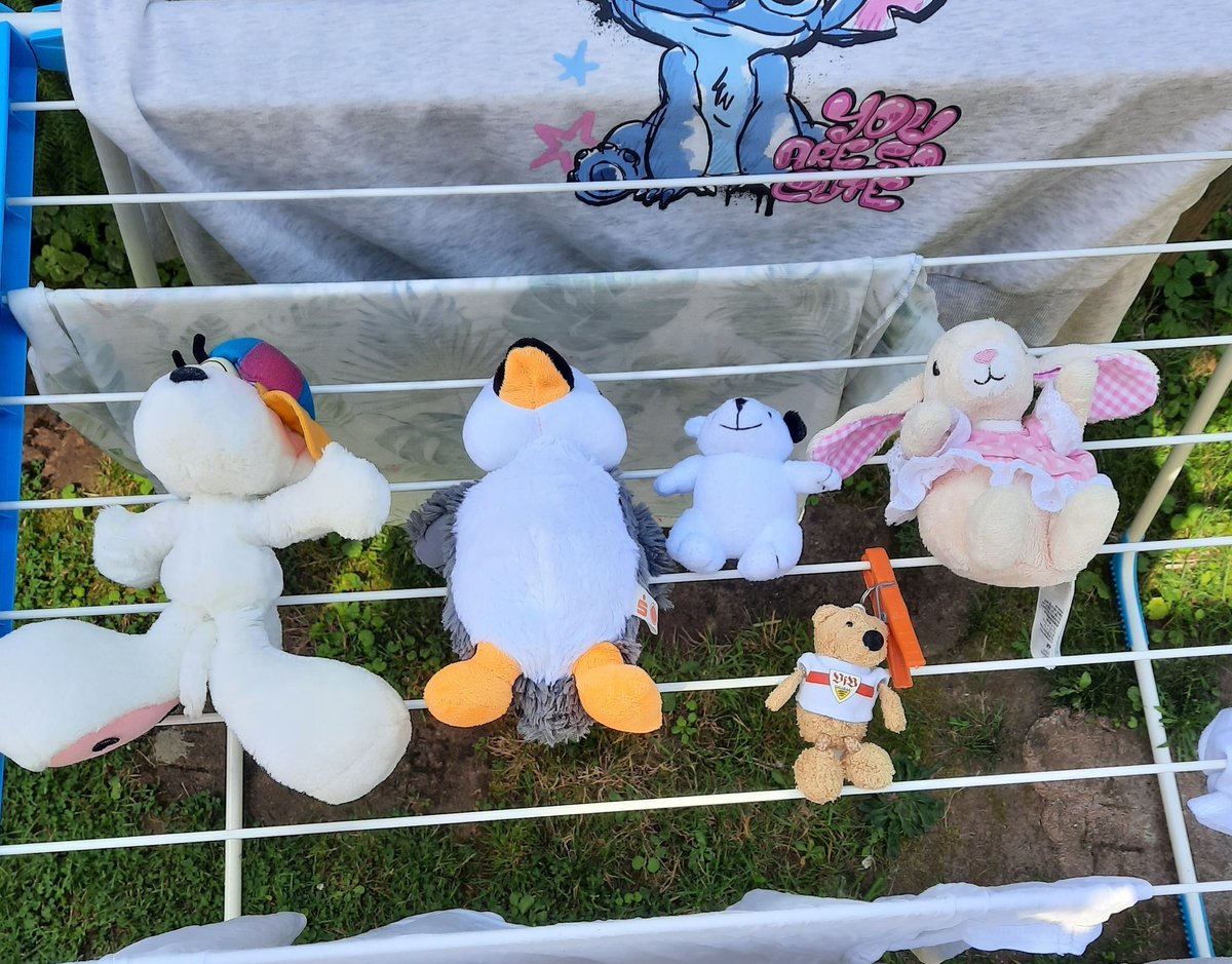 🐯🦥🐧:
Uns haben gestern aus einem Müllsack heraus viele traurige Augen angeschaut. Wir haben es nicht übers ❤️ gebracht und alle mitgenommen. Heute geht es für die meisten ins Karussell und dann schauen wir mal was mir mit denen machen.