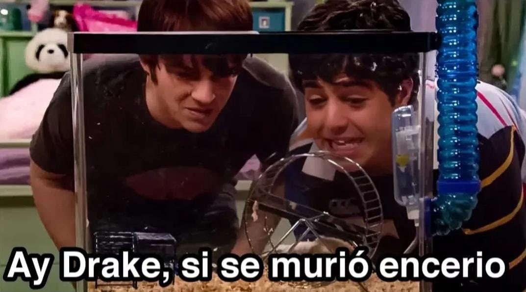 Ay oigan
