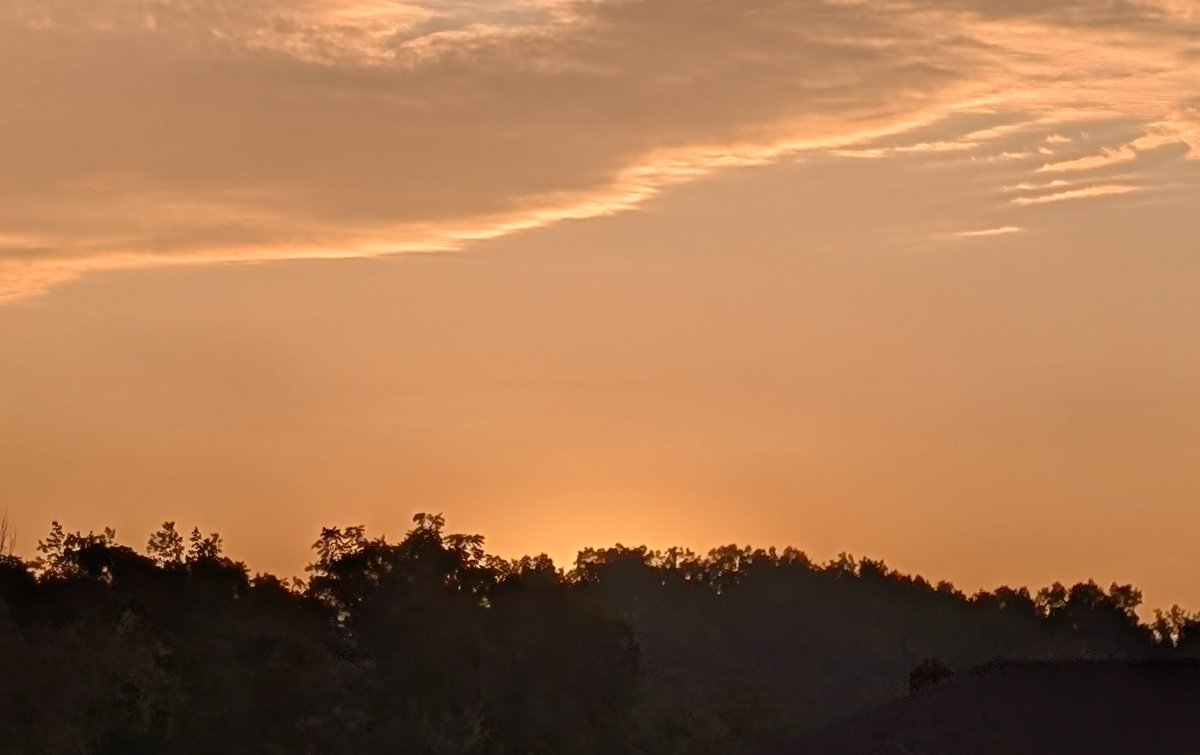 Stewart Pratt tweet media