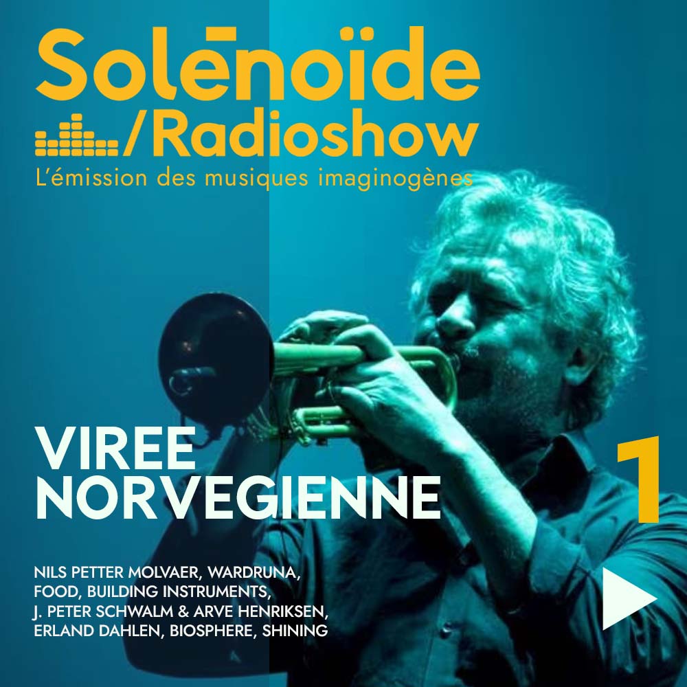ekodesgarrigues's tweet photo. Sous  un ciel griffé d’aurores boréales, "Solénoïde" hisse les voiles vers la  Norvège et ses rivages sonores.  L’émission cartographie un pays où les vents glacés charrient  autant de légendes que de fréquences insaisissables. Jeudi 18h - Mardi 10h sur l'Eko. https://t.co/gGGzMFmxNH