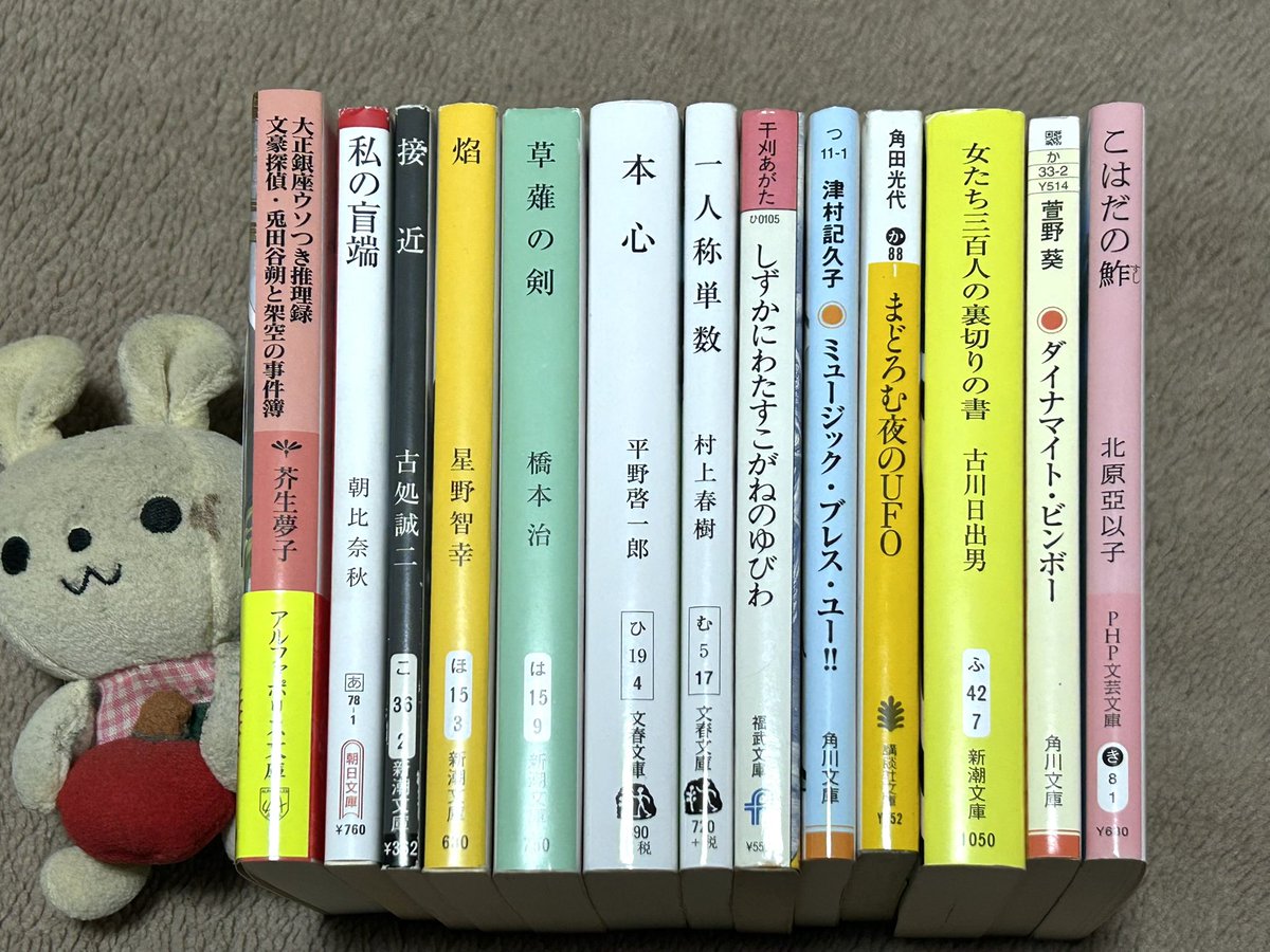13冊の本を買ってきました。全てが文庫本であり殆ど純文学ですね。橋本 