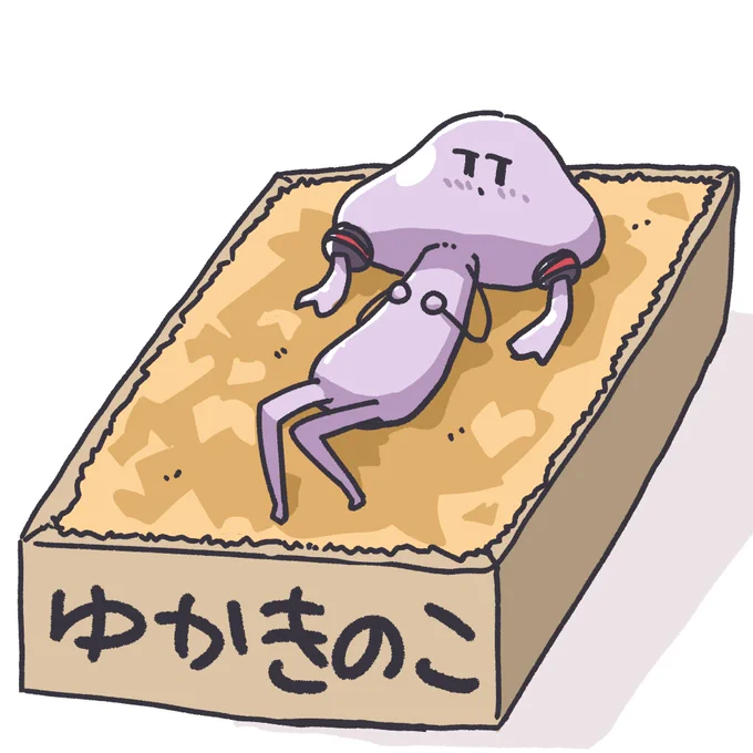 ベッドゆかりさん