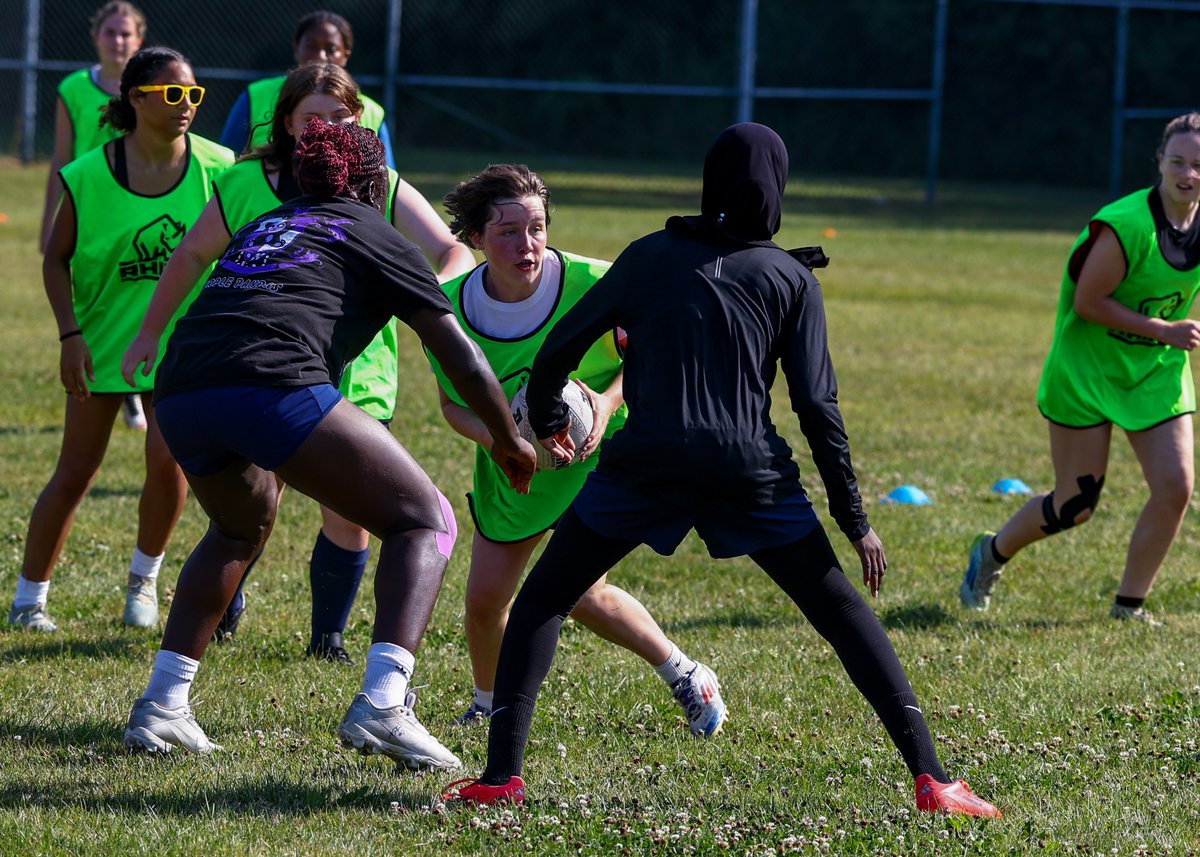 Leinster Domestic tweet media