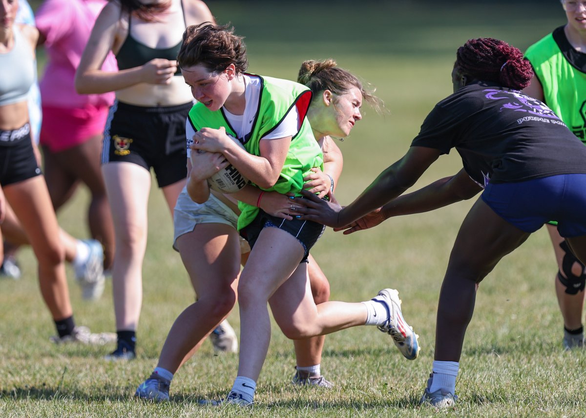 Leinster Domestic tweet media