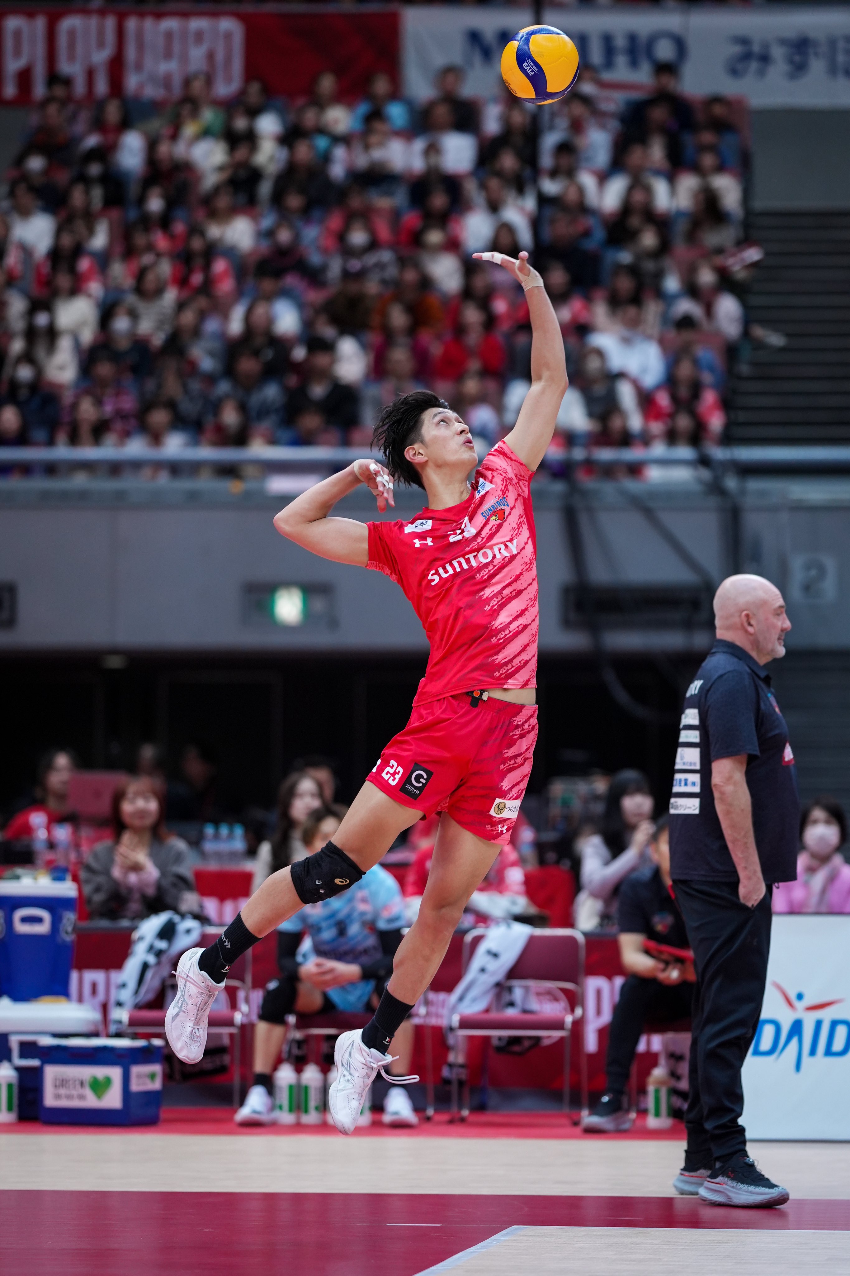 サントリーサンバーズ 柏田樹 オーセン ユニフォーム 📸✨ #柏田樹