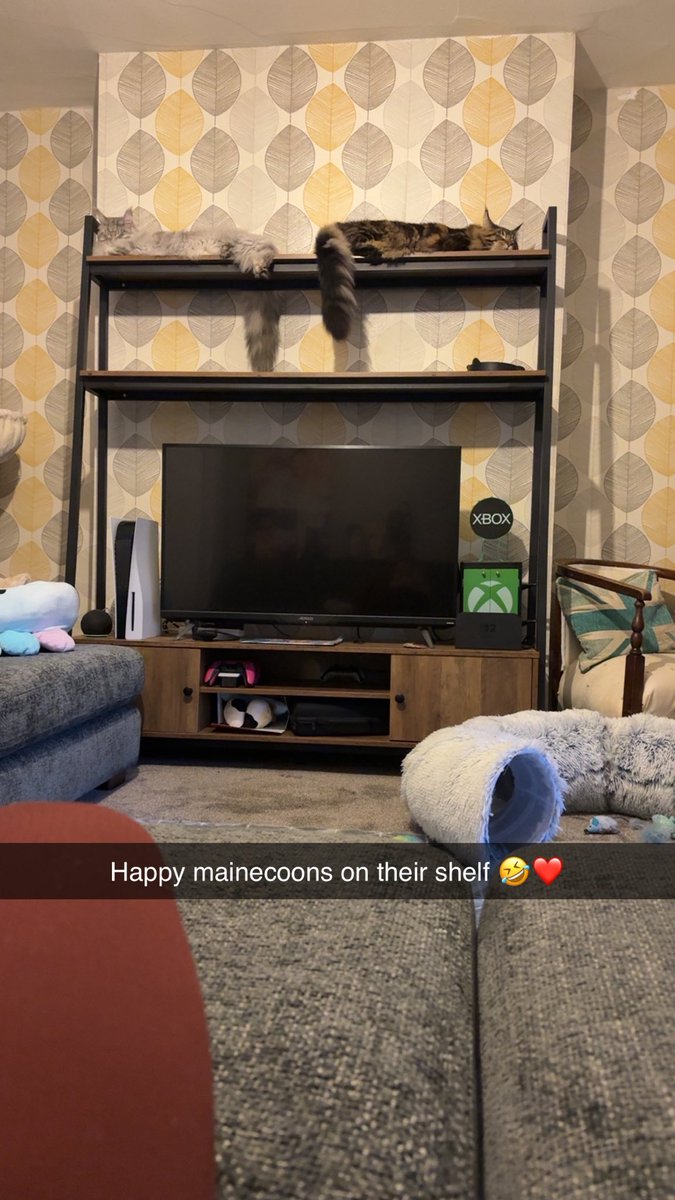 DixieDoll17's tweet photo. WE MOVED HOUSE!! 
It has been the most stressful 5 weeks of my entire life, but we are finally settling in our new home! Just two minutes away from the beach! 
I’m not going to lie Milly’s bedroom is my absolute favourite room of the whole house 🤣❤️
#milestones https://t.co/xahFxTACeA