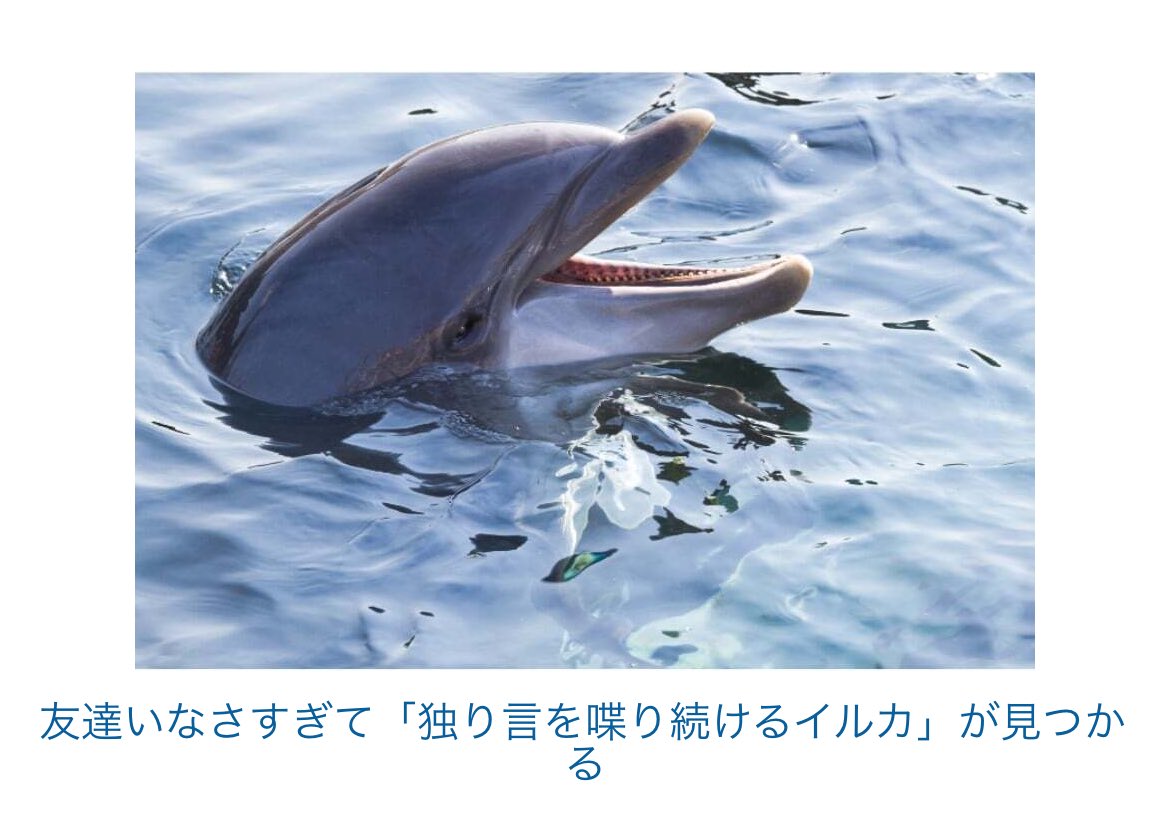 tsu_6gs's tweet image. お気に入りのチャームをつけられる刺繍ワッペンストラップ試作中🐬
@unicodeU_U にて販売予定