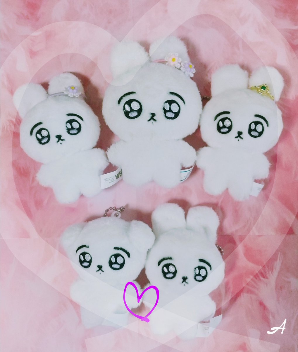 Aymn1027's tweet photo. 🎀꾸꾸꾸 mini ver 🐰🐶🎀

先日新しく仲間入りした
うさぎさんとこいぬさん🐰🐶
真白でふわふわなおともだち🤍
("最後の在庫販売…"間に合いました)

先輩꾸꾸꾸ちゃんと一緒に📷️✨
みんな大切にします🥰💜

꾸꾸꾸 님 (@kooookoookoo)
toki JPGO 様 (@tokiJPGO_91)
誠にありがとうございました🍀 https://t.co/6O7aS7NHc5