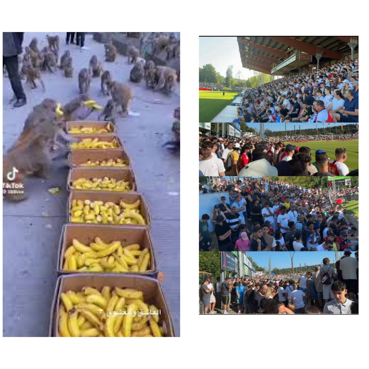 mesfer_ghamdi's tweet image. #جماهير_الهلال_بألمانيا 
#الهلال_حديث_العالم 

الهلاليين يتغنون بجماهير ناديهم المخلصين يعشقون ناديهم لإنجازاته وبطولاته وسطوته على بقية الأندية يحضرون للدعم والمسانده ويدعمون ناديهم بكل قوه وبدون شروط أو مطالبات💪💪

#جماهير_الزعيم_بألمانيا 
#الهلال_جماهيره_بكل_العالم 

هذه…