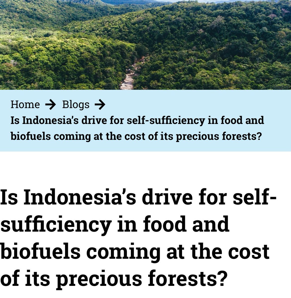 “So far in 2025, the greatest forest loss has occurred as a result of palm oil (26,934 ha) and mining (20,884 ha) concessions.”

eia-international.org/blog/is-indone…