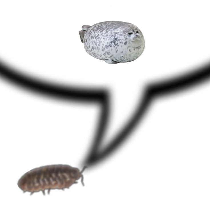 timthepillbug's tweet image. 