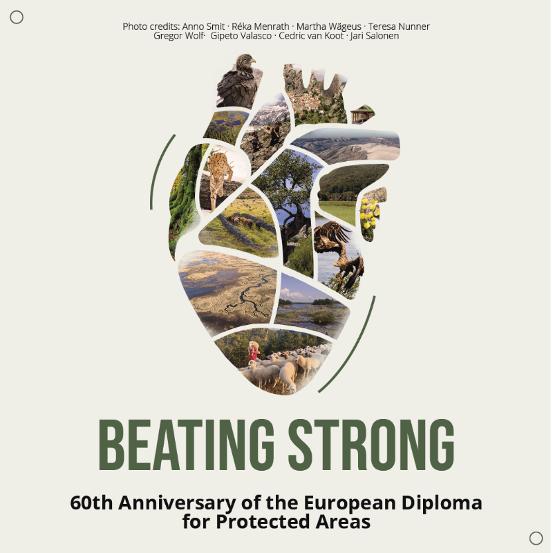CoE_Environment's tweet photo. Unique sites holding the European Diploma for Protected Areas keep our continent alive.
Since 1965, this award honours the natural and cultural value of such extraordinary places.
United around our values, with nature at heart. #BeatingStrong
#NaturalHeartOfEurope