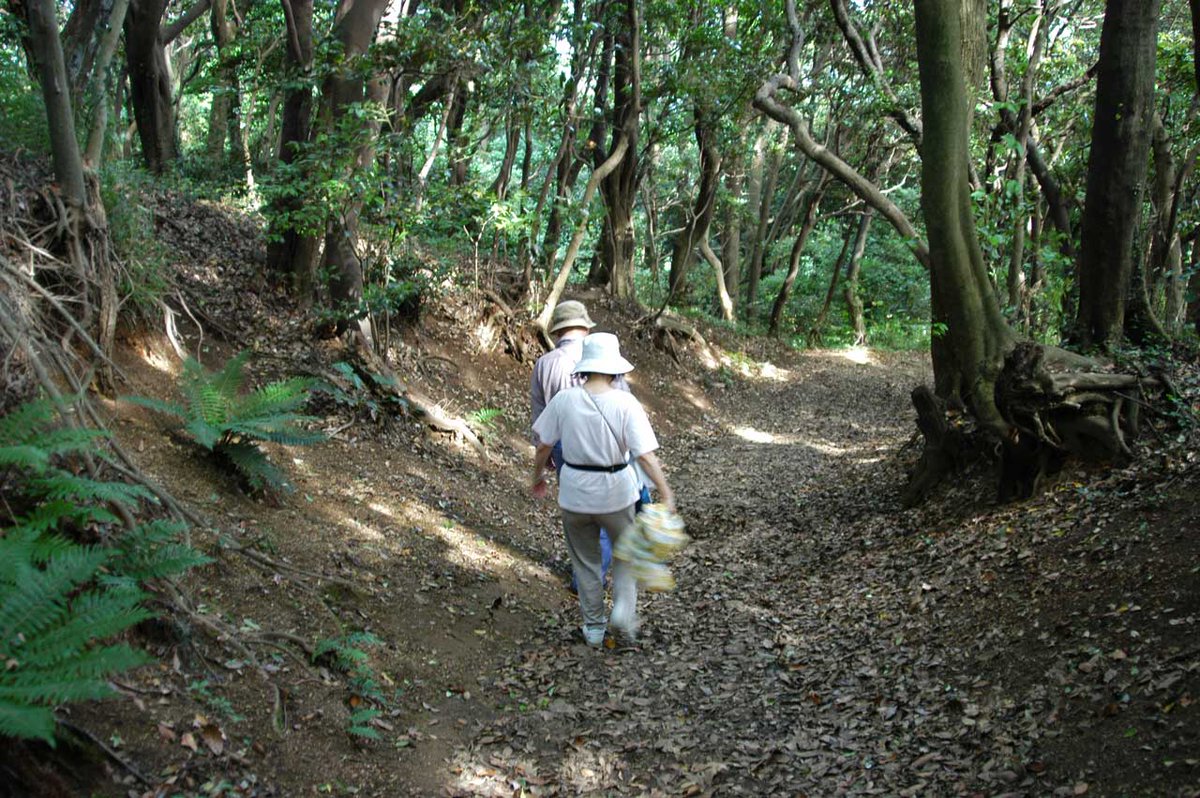 htomsn's tweet photo. 三浦半島、武山(200m)、南登山道。
この道を利用して下山、京急の津久井浜駅に向かいました。#kantoNK https://t.co/1VD0emOgFU