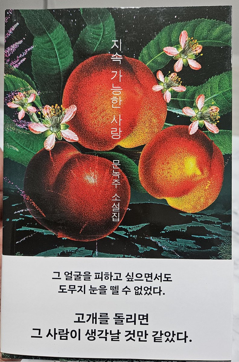 친구가 신간 보내줬다! <a href="/Moonnokju/">문녹주</a>