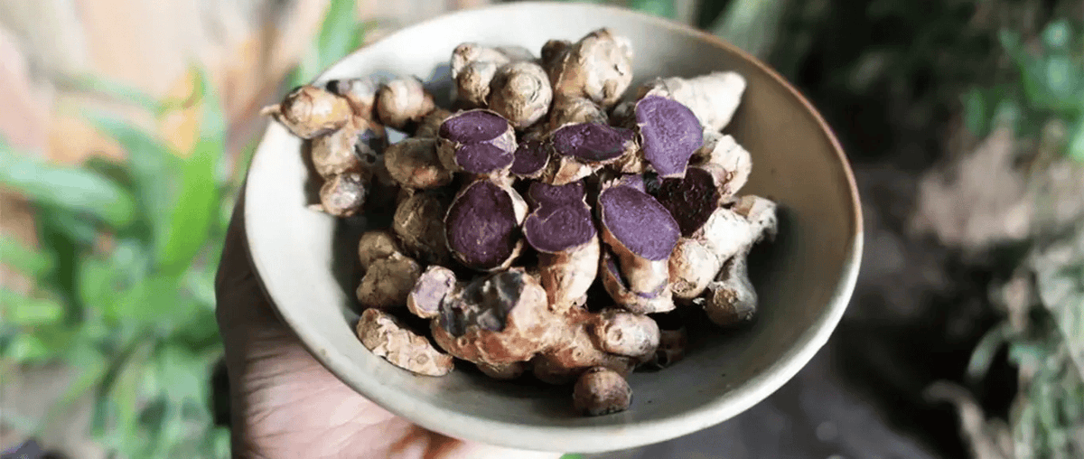 ayurveda_ncare's tweet photo. Black ginger isn’t just a buzzword — it’s packed with 21 science-backed health benefits you need to know!
Visit Now: https://t.co/UvdKc2YP6u

#blackginger #health #naturecare #blackgingerbenefits https://t.co/lQVAkNpiZr