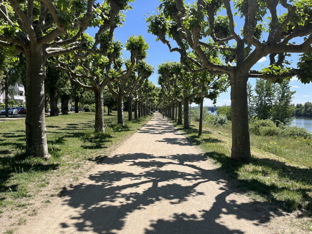 bigcheex's tweet image. Took a trip to my hometown