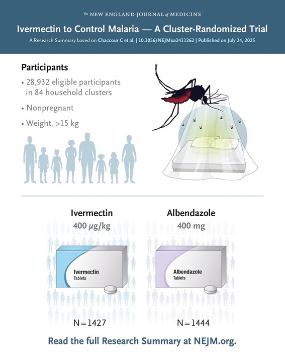 #DivulgacionSEIMC | 🦟💊 Ensayo BOHEMIA: dar ivermectina oral a la población en Kenia como estrategia de control vectorial redujo un 26 % la #malaria infantil comparado con albendazol

Los mosquitos que pican a personas tratadas mueren antes, reduciendo la transmisión, incluso
