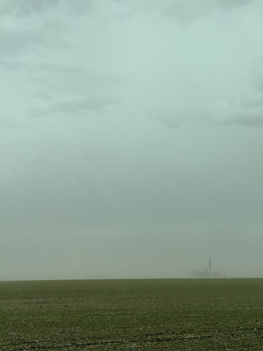 Laura Farm (@laura_farms__) on Twitter photo 