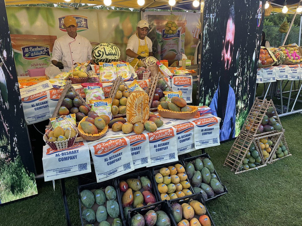 لقد حضرت الدورة الثالثة من مهرجان المانجو بالإسماعيلية ويذكّرني حضوري هذا بمهرجانات موسمية عديدة مثل مهرجان التمور والحمضيات.