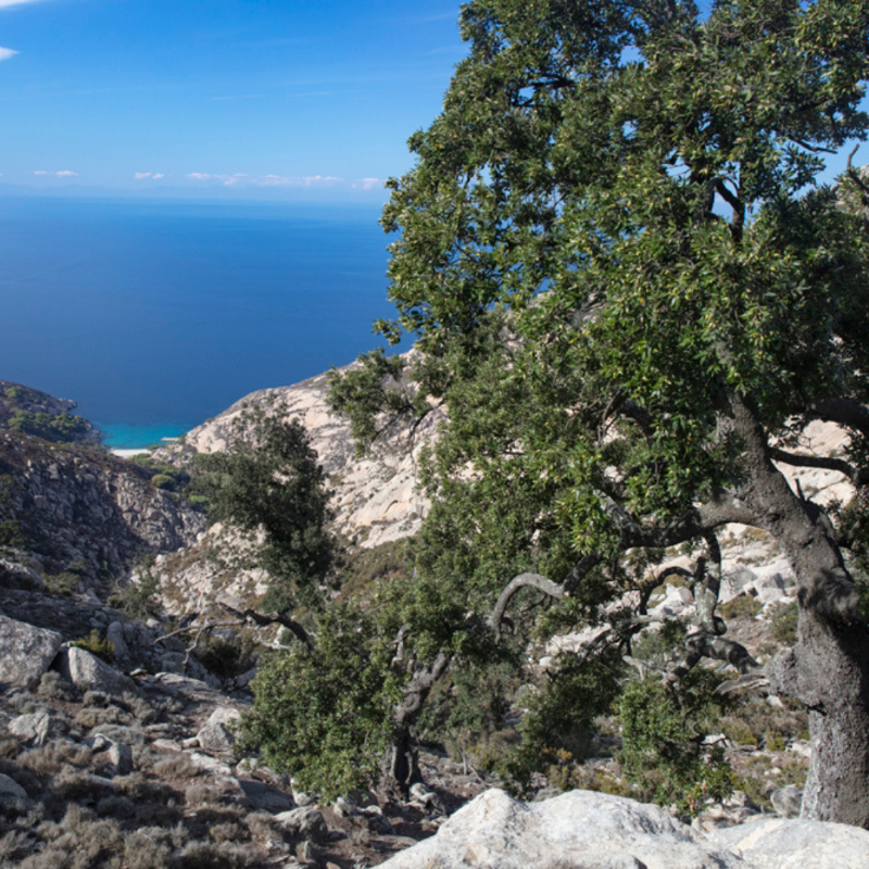 CoE_Environment's tweet photo. Unique sites holding the European Diploma for Protected Areas keep our continent alive.
Since 1965, this award honours the natural and cultural value of such extraordinary places.
United around our values, with nature at heart. #BeatingStrong
#NaturalHeartOfEurope
