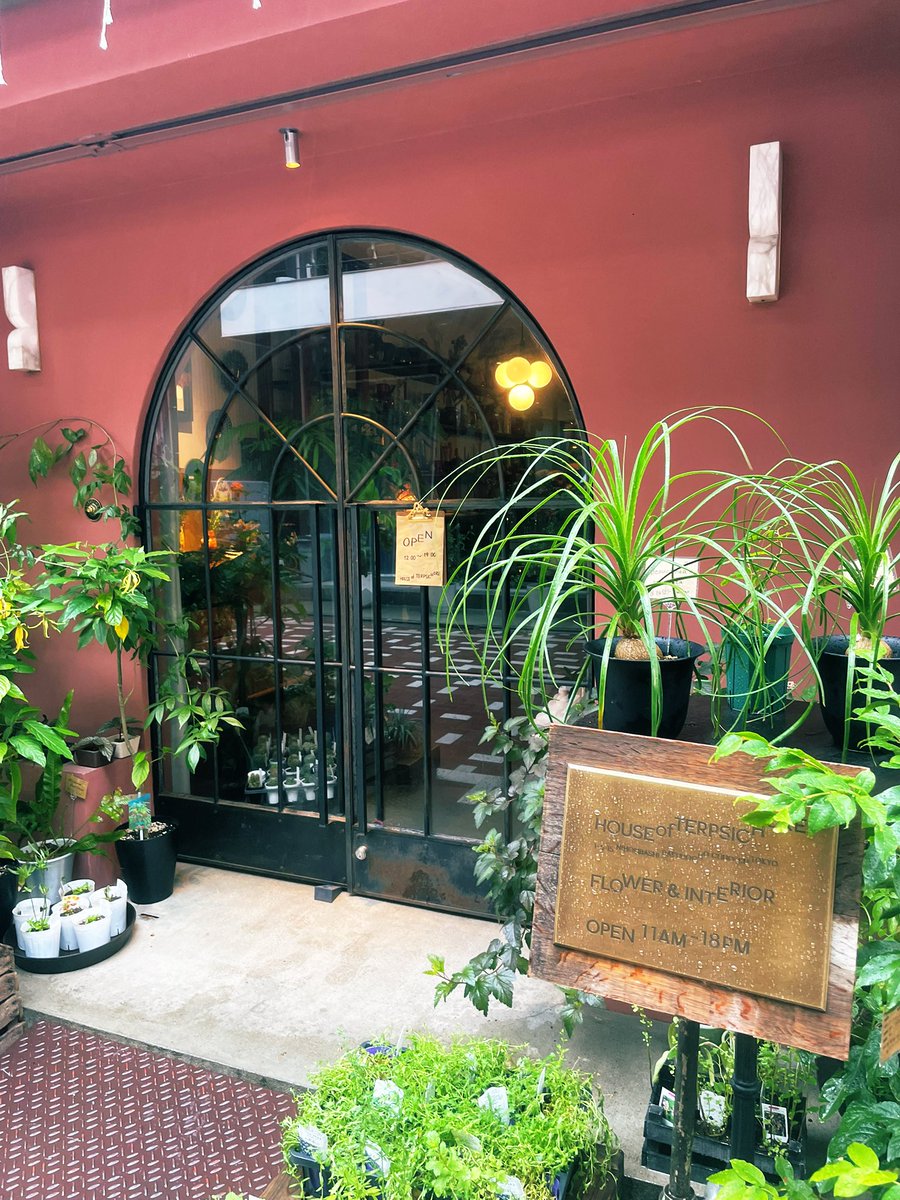 Chuo_kumin's tweet photo. 馬喰町の問屋街で隠れるように営業する花屋、HOUSE of TERPSICHORE。センスの良いお花と、インテリアの世界観のマッチが素晴らしいお店。
かねてから日本橋エリア、素敵な花屋があればなお良いと思っていたのですが、2023年オープンとのこと、見逃しておりました。あとは良き本屋があれば完璧です。 https://t.co/xy2j4LWXLx