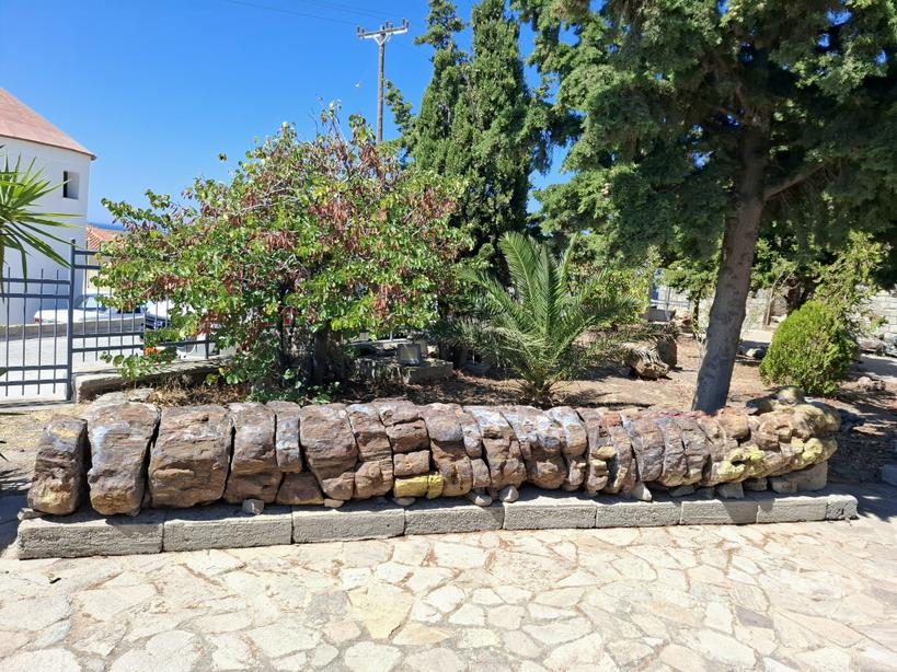 La forêt pétrifiée de Sigri à Lesbos est estimée à 20 millions d'années et a été déclarée parc géologique par l'Unesco. A cette lointaine époque, une forêt subtropicale recouvrait l'île. Aujourd'hui, sur 29 ha, on peut voir des dizaines de troncs fossilisés, couchés ou debout.