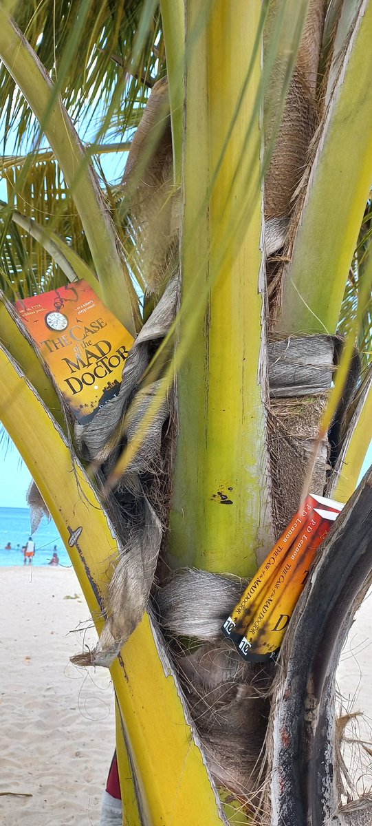 Paula Lennon tweet media