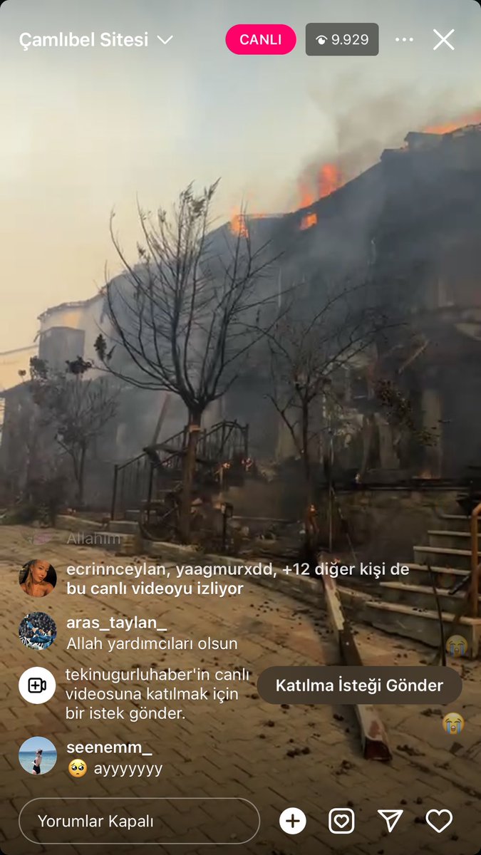 Kedisever_17's tweet photo. #CANAKKALEYANIYOR

Yeteeeer!!! https://t.co/BPJ1pD4UjN
