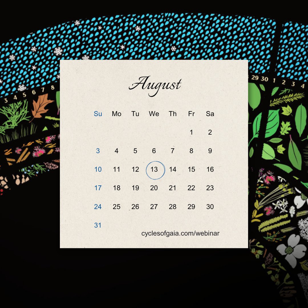 In just two days, we’ll walk you through Cycles of Gaia — a free K–12 toolkit that blends science standards with seasonal awareness and hands-on field observation. 

Join Us! August 13 — register now at cyclesofgaia.com/webinar

#CyclesOfGaia #GaianWay