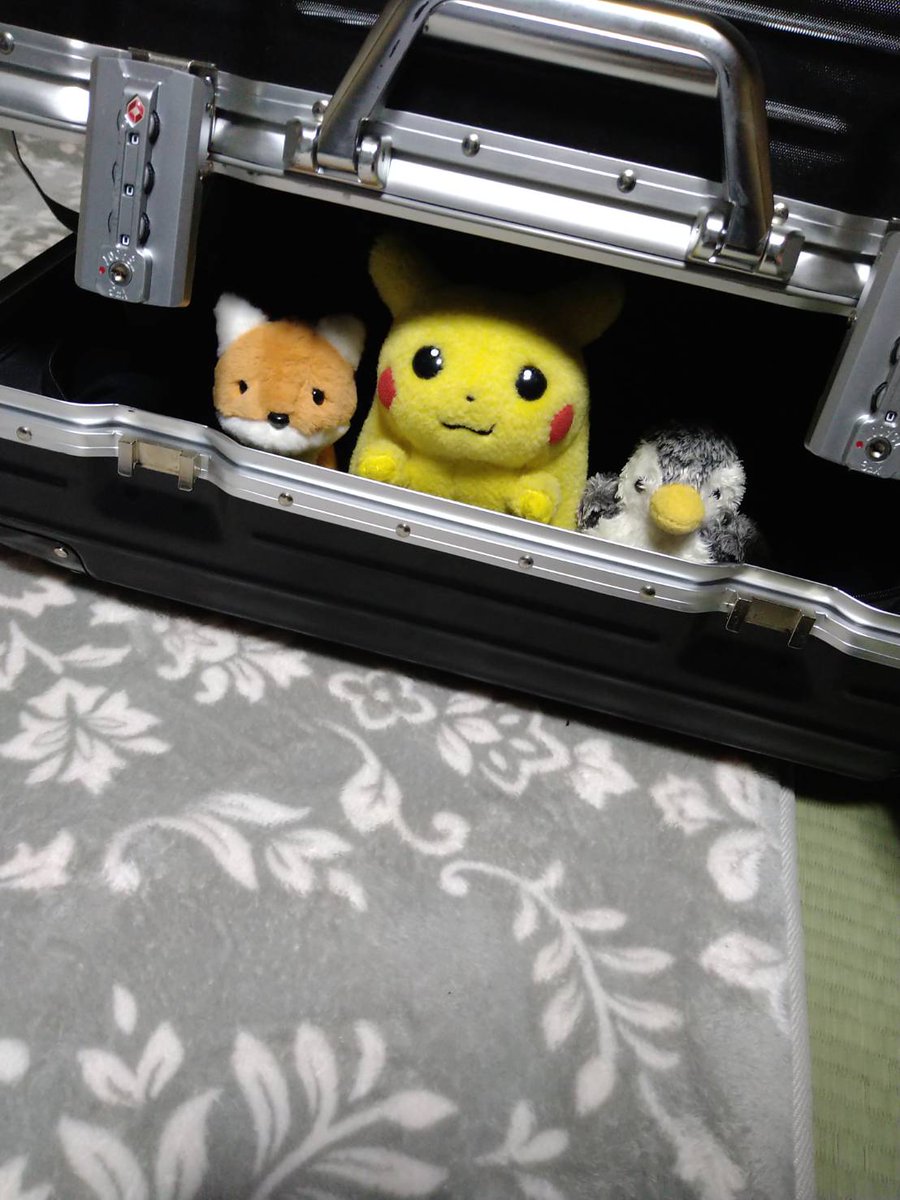実家に帰省してカバンを開けたら
密航者3名を発見

#初期ピカ
#ぬいぐるみ