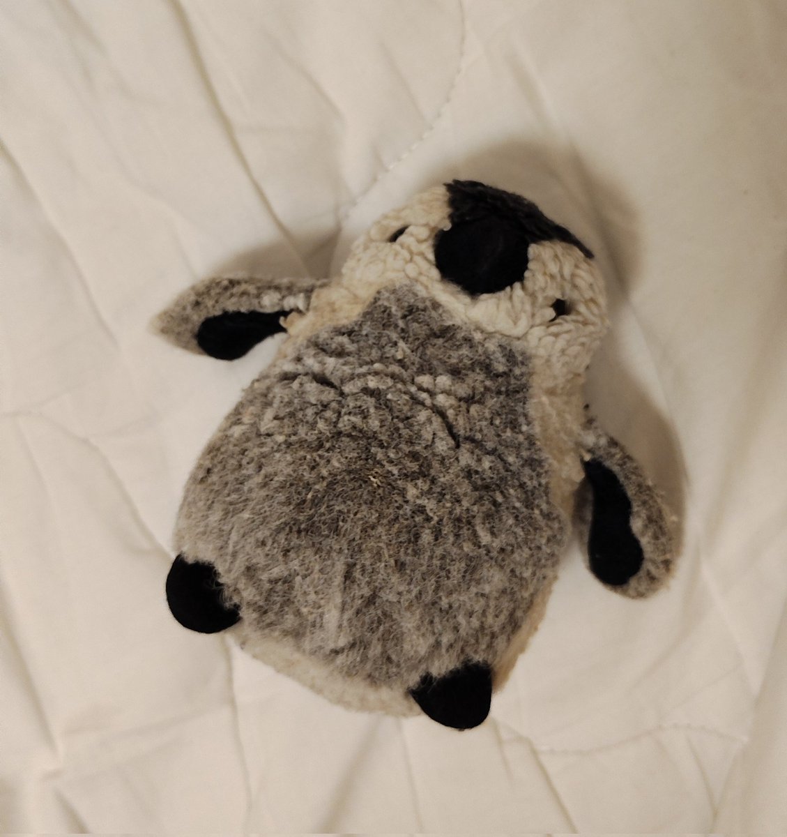 愛されぬい界隈