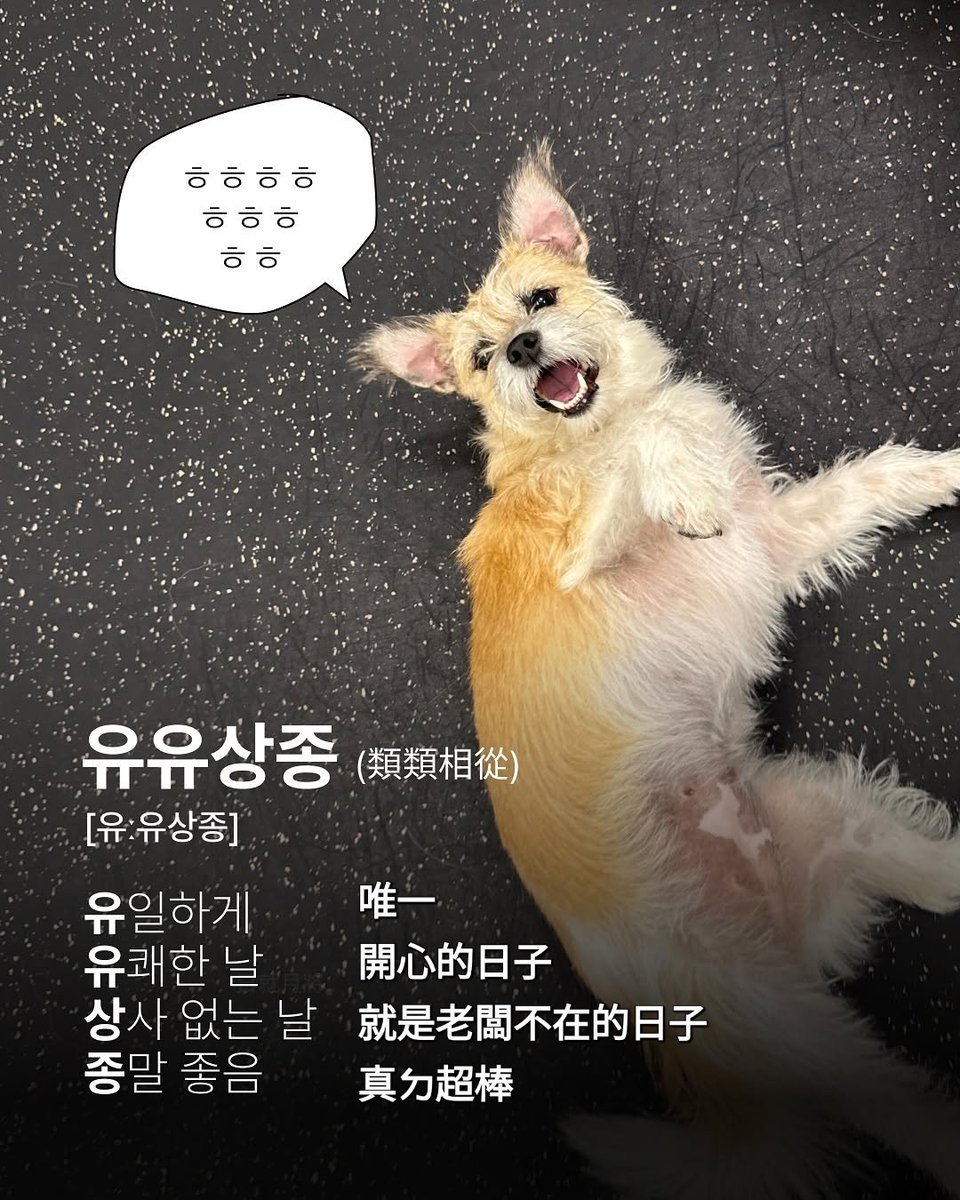 musinsa的小編為什麼把我的日記拿出來了