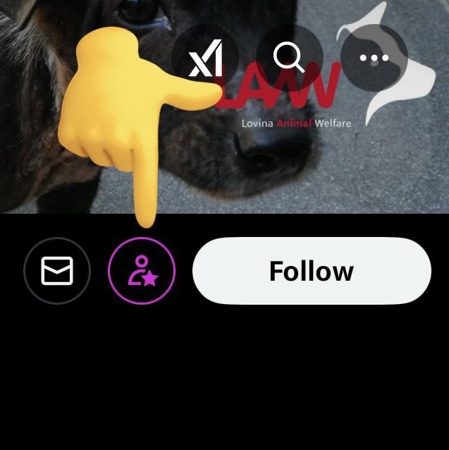 Paul Bronks (@slendersherbet) on Twitter photo Meesh has set me a target of 600 subscribers. Which would cover the charity's bills every month. I'm currently some way short of this, to put it mildly. If you'd like to subscribe, it's ยฃ5 a month and it goes straight to <a href="/BaliAid/">Lovina Animal Welfare</a>. And for your ยฃ5, I'll do anything you want (but I Meesh has set me a target of 600 subscribers. Which would cover the charity's bills every month. I'm currently some way short of this, to put it mildly. If you'd like to subscribe, it's ยฃ5 a month and it goes straight to <a href="/BaliAid/">Lovina Animal Welfare</a>. And for your ยฃ5, I'll do anything you want (but I