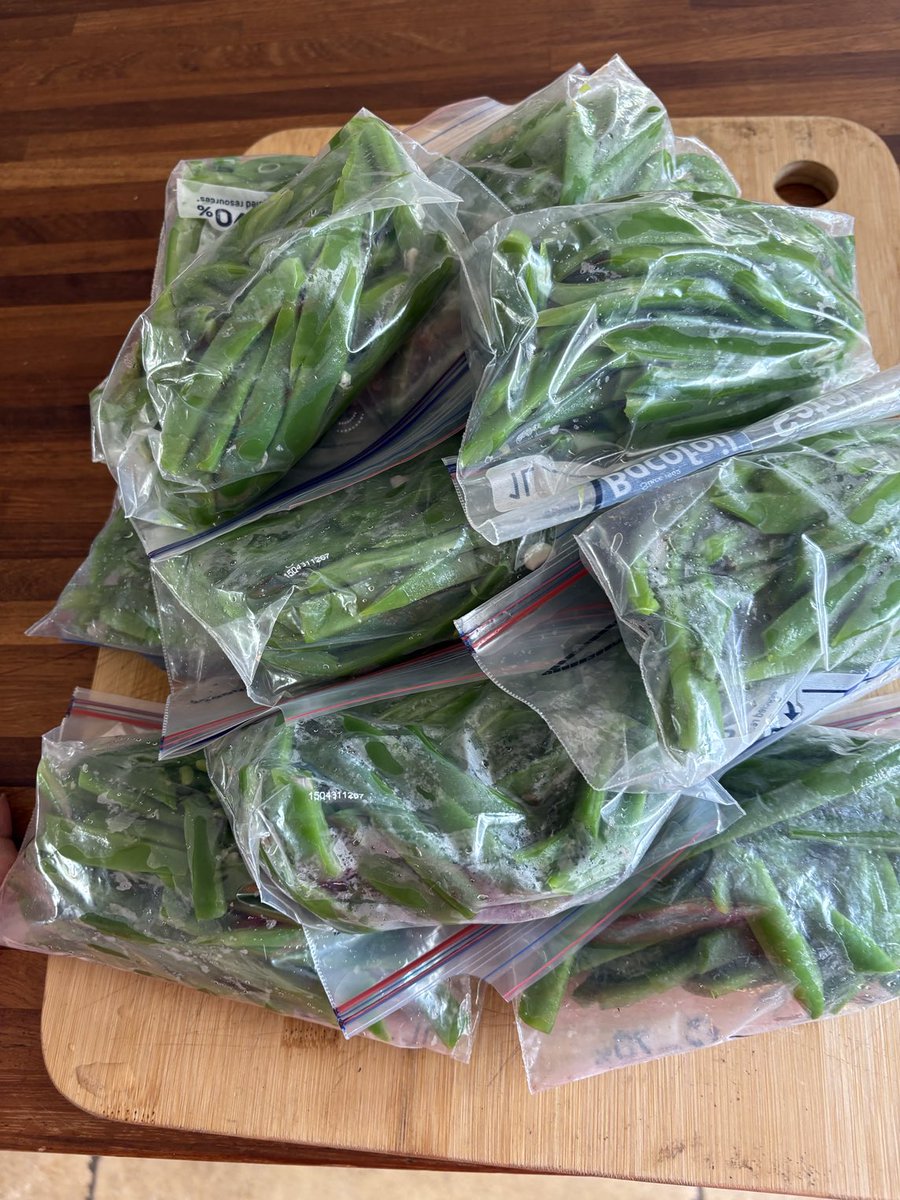 brit_battleaxe's tweet image. Merry hour of work &amp;amp; another 6lbs of green beans ready for the freezer &amp;amp; they will keep on coming for many more weeks. #YumYum #FoodForFree