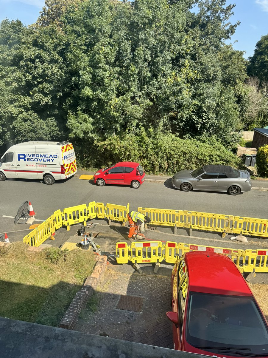 David Patrick tweet media