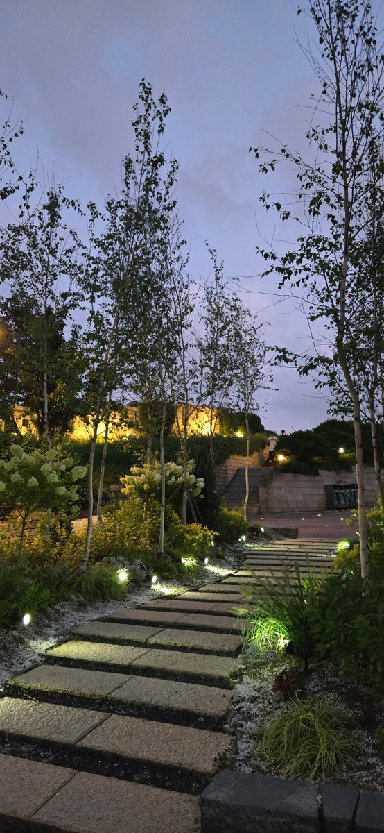 Leaf softxz⋆ tweet media