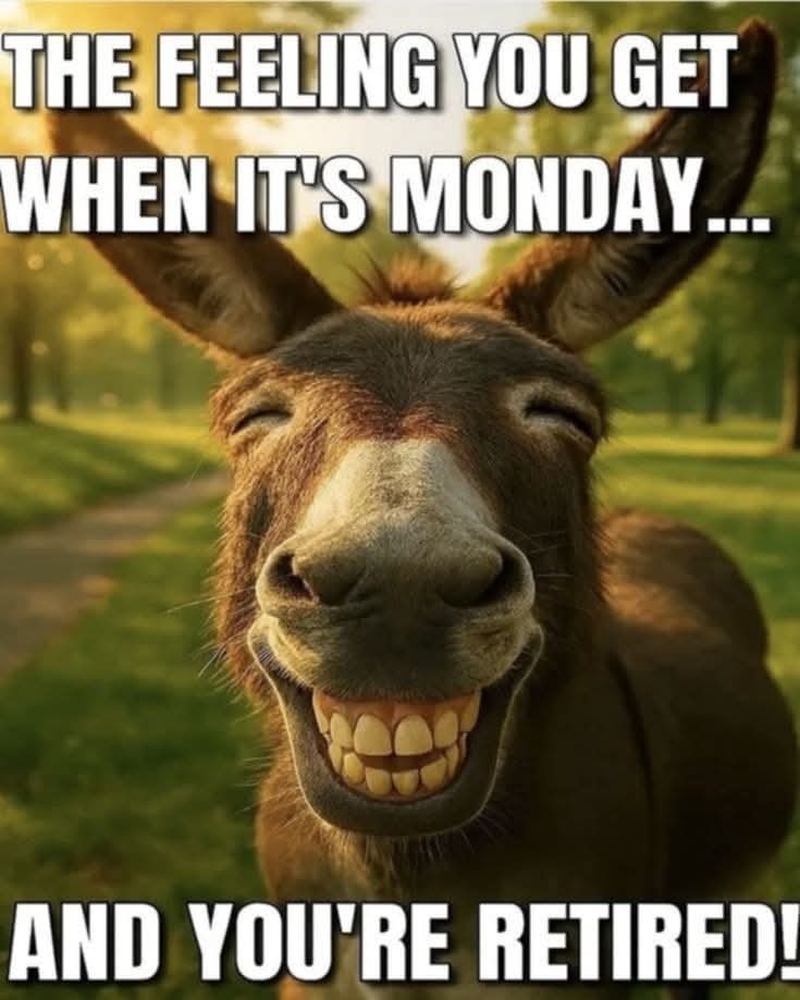 Mondays aren't so bad these days 😃😃😃😃